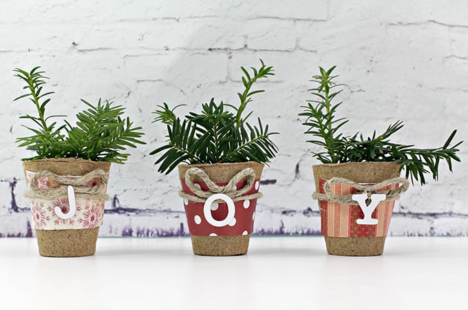 Decorative Christmas Evergreen Pots