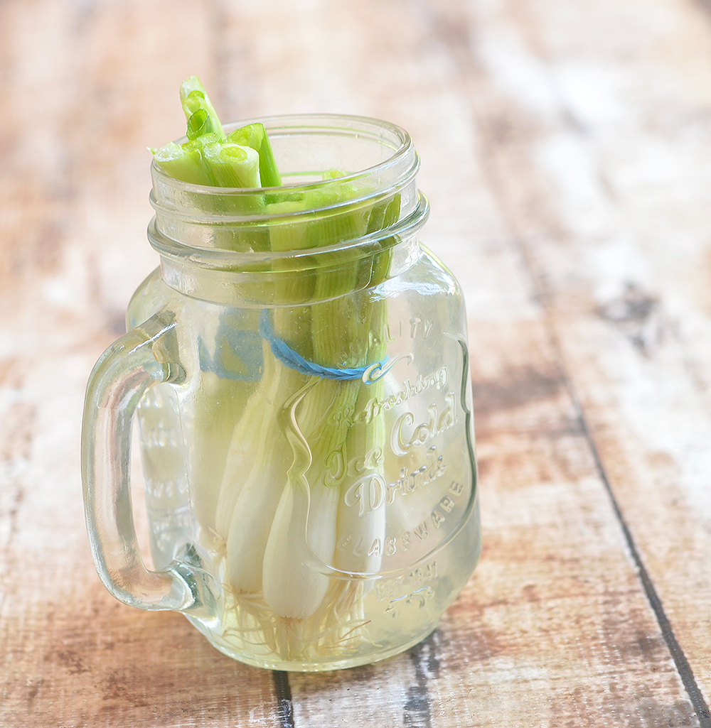 Easy Tips to Regrow Green Onions from Scraps