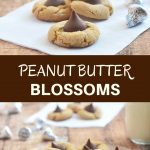 Peanut Butter Blossoms made of chewy peanut butter cookies and sweet chocolate kiss centers. These are as fun to make as they are to eat!