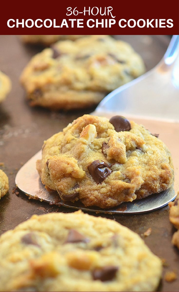 36-hour Chocolate Chip Cookies are soft and moist, chunky and chewy for a whole new level of yum. Truly the best cookies ever and the secret is the chill time!