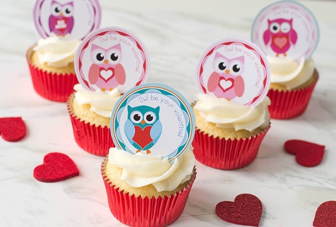 cupcakes with Valentine's Day owl toppers