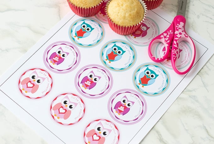 Valentine's Day Owl Cupcake Toppers and sweet vanilla cupcakes