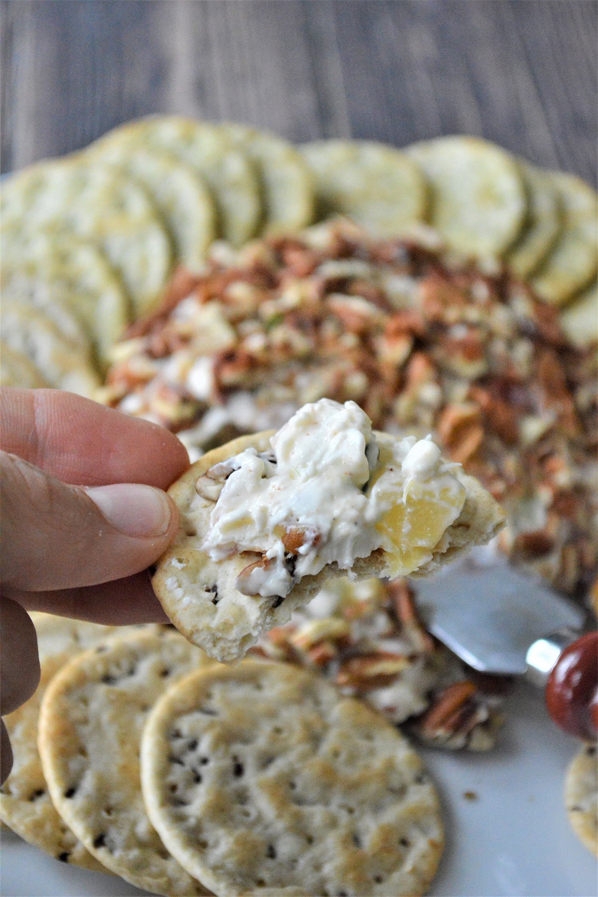 serving cheese ball spread on a cracker