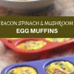 Bacon Spinach and Mushroom Egg Muffins loaded with crisp bacon, meaty mushrooms, and baby spinach. An excellent source of protein and full of healthy veggies, these portable mini frittatas are nutritious as they are delicious!