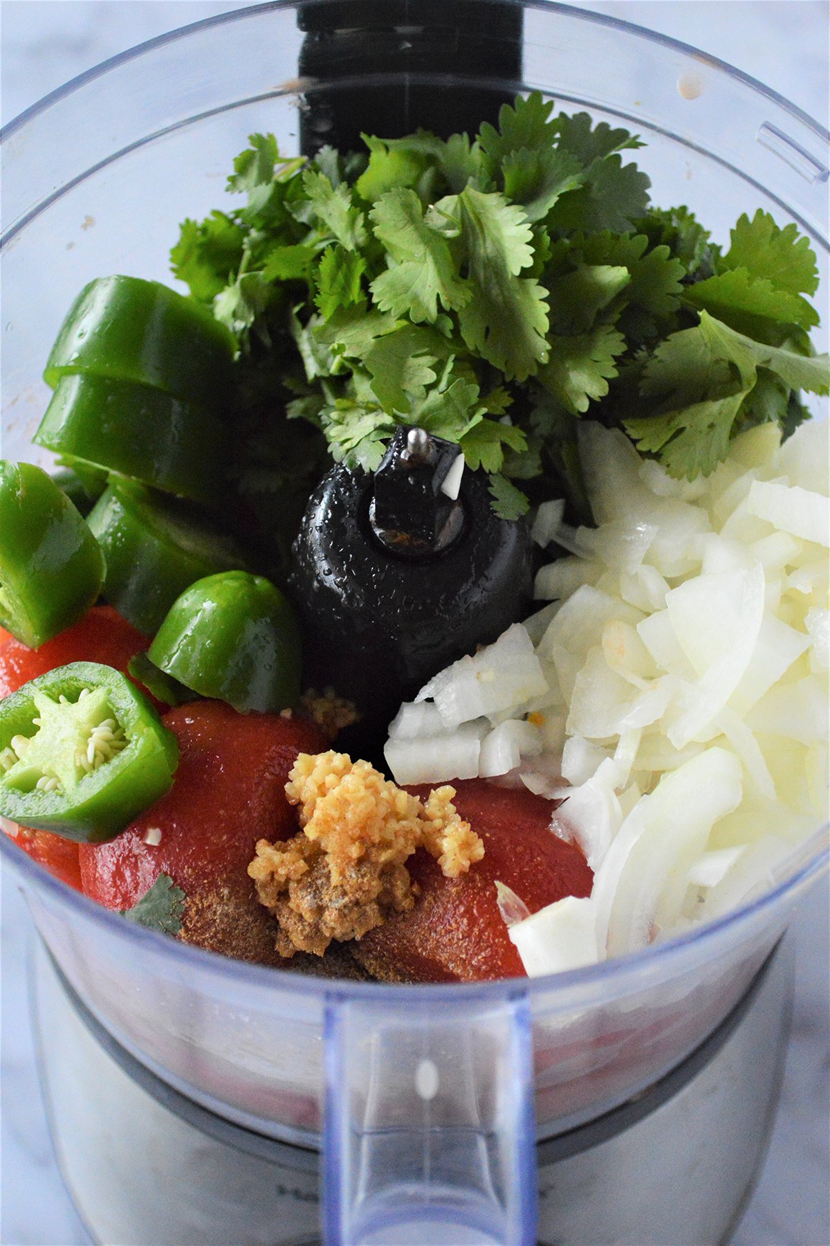 chopped cilantro, sliced jalapenos, diced tomatoes, garlic, chopped onions in a food processor