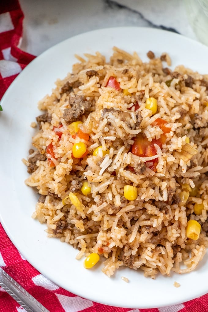 ground beef and rice casserole on a white plate