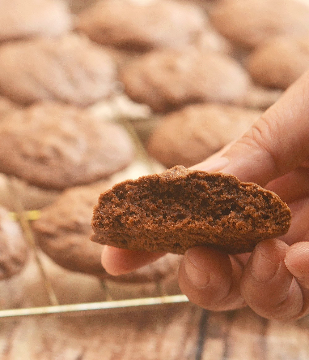 Double Chocolate Cookies from Mrs. Fields Cookbook are soft, fudgy and chocolatey. These brownie-like cookies are ultimate chocolate lovers treat!