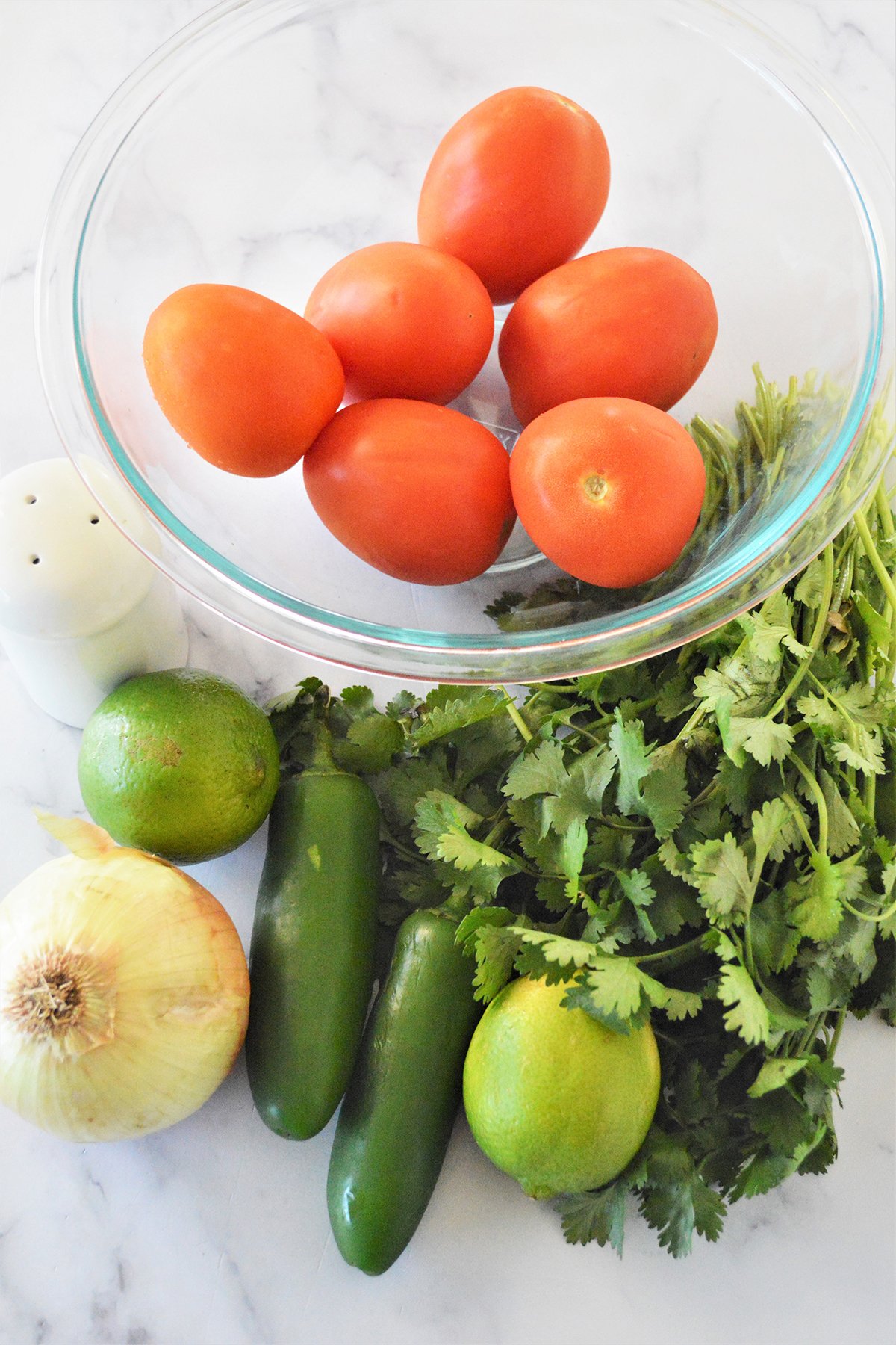 tomatoes, onions, cilantro, jalapenos, limes, salt