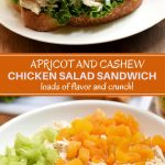 Chicken Salad Sandwich with apricots, cashews, celery, raisins and mayo-yogurt dressing