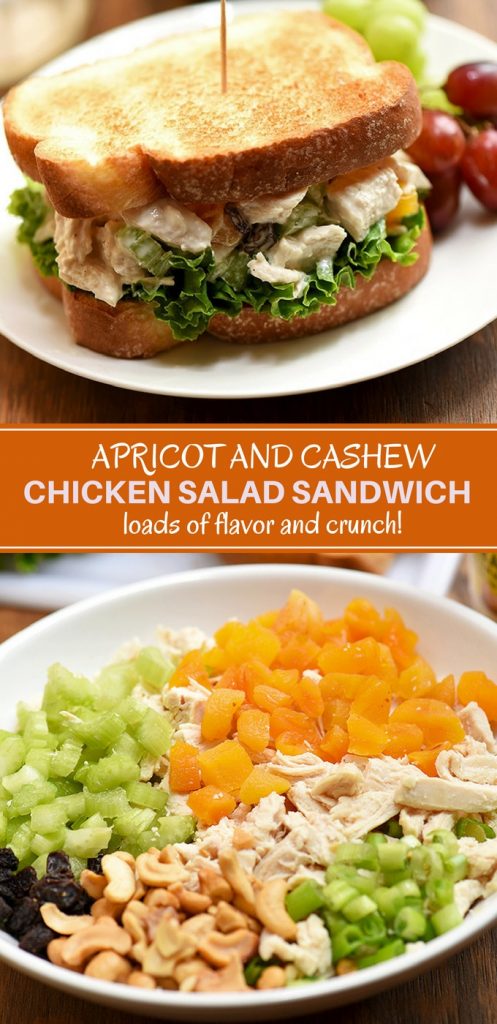 Chicken Salad Sandwich with apricots, cashews, celery, raisins and mayo-yogurt dressing