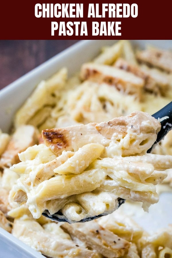 serving chicken alfredo bake from a white casserole dish with a large spoon