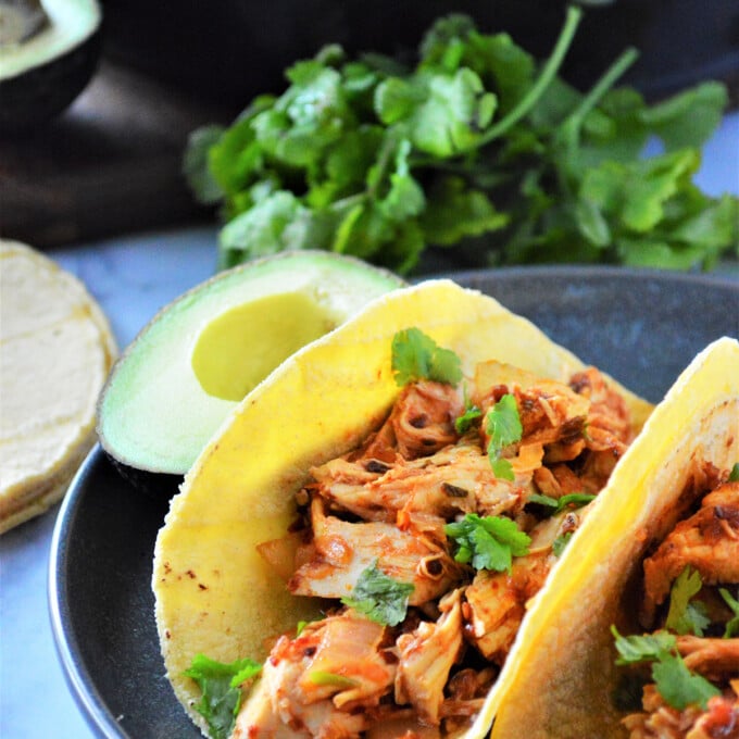 chicken tinga tacos with cilantro