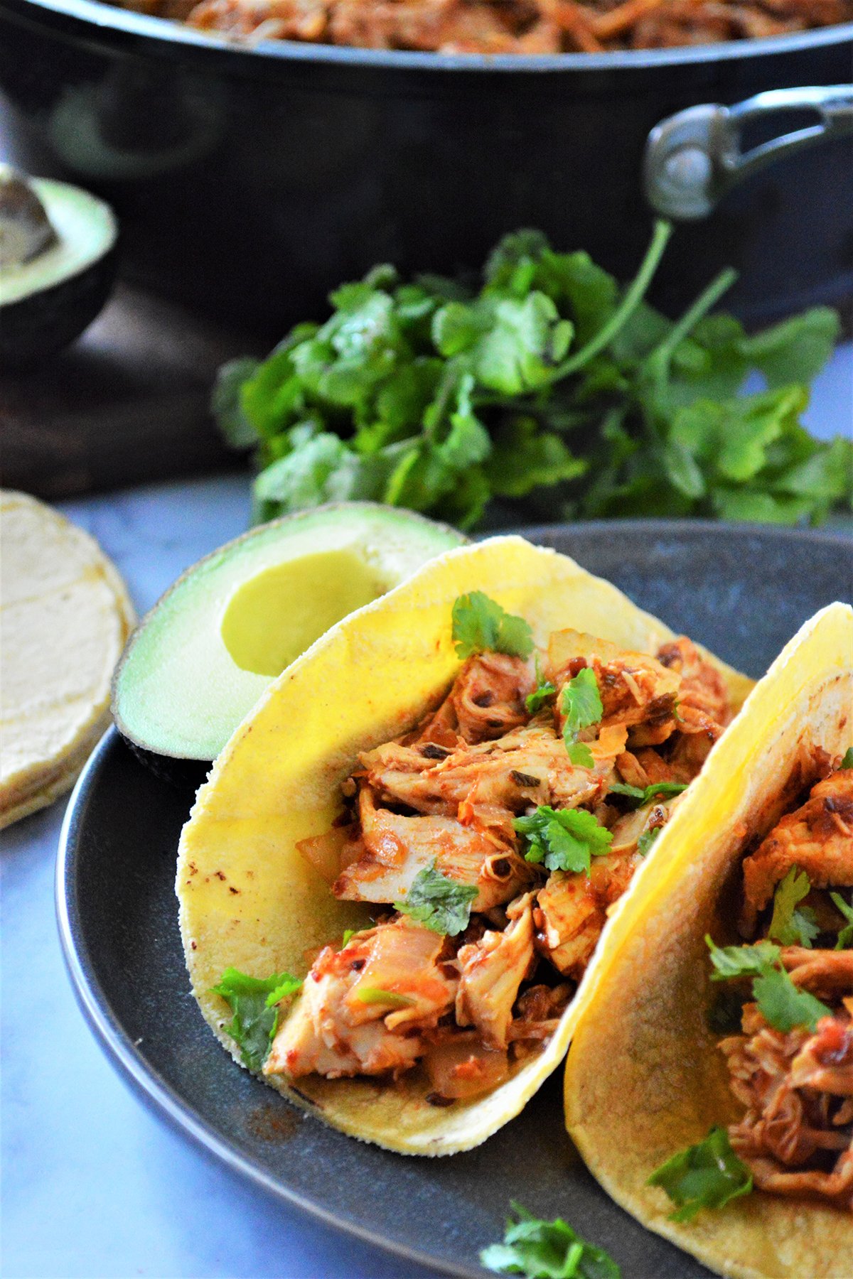 chicken tinga tacos with cilantro