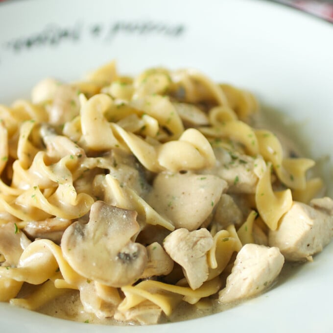 Chicken Stroganoff with egg noodles in a white bowl