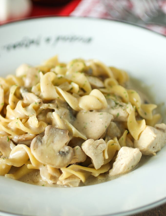 Chicken Stroganoff with egg noodles in a white bowl