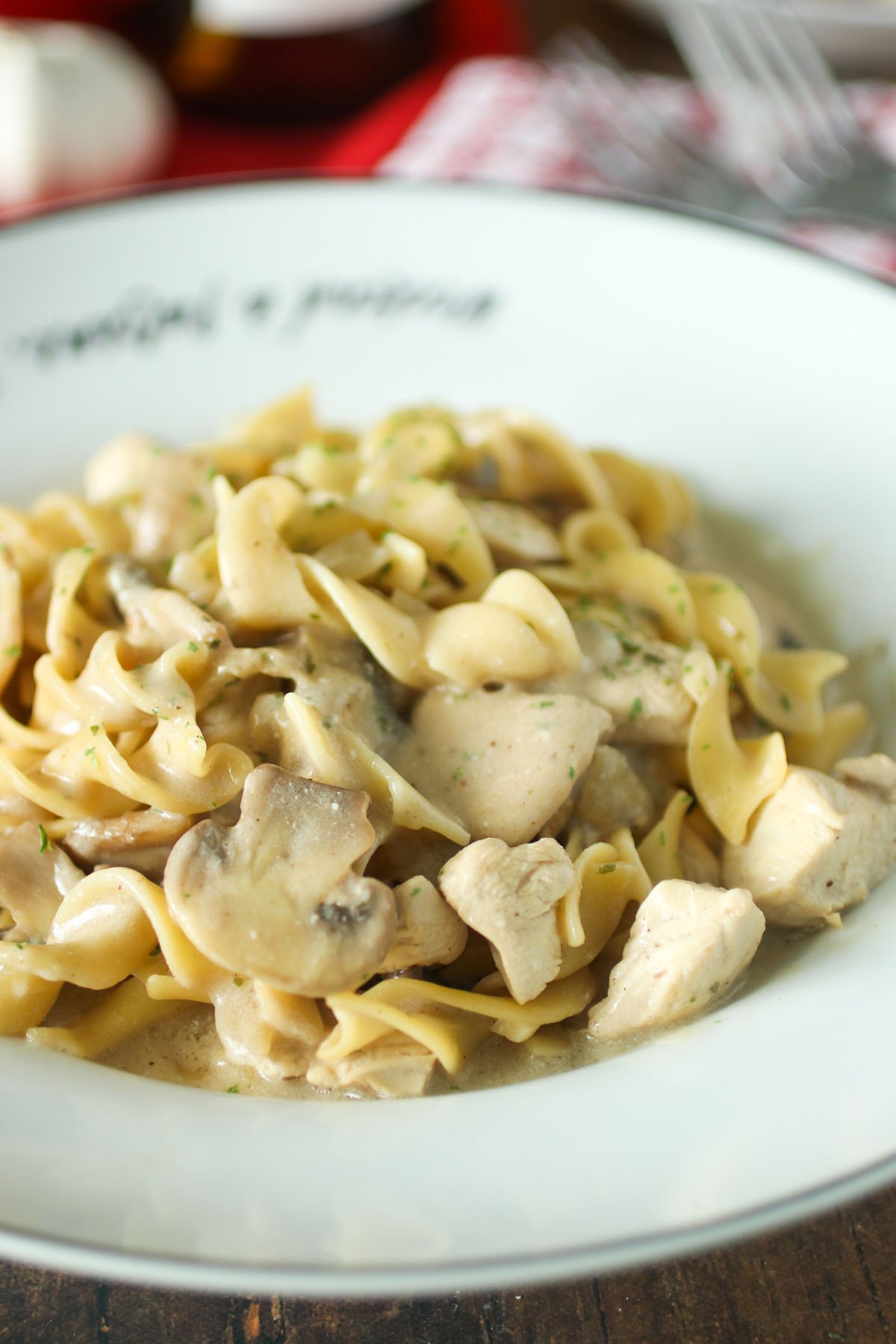 Chicken Stroganoff with egg noodles in a white bowl