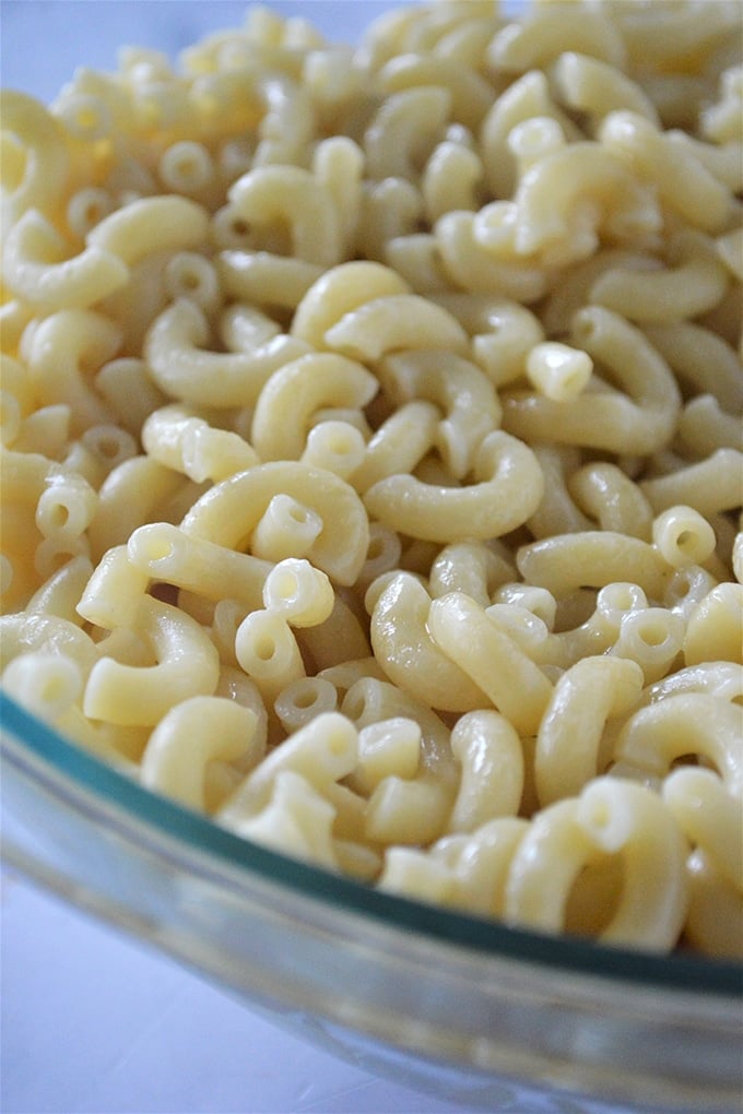 cooked elbow macaroni in a bowl