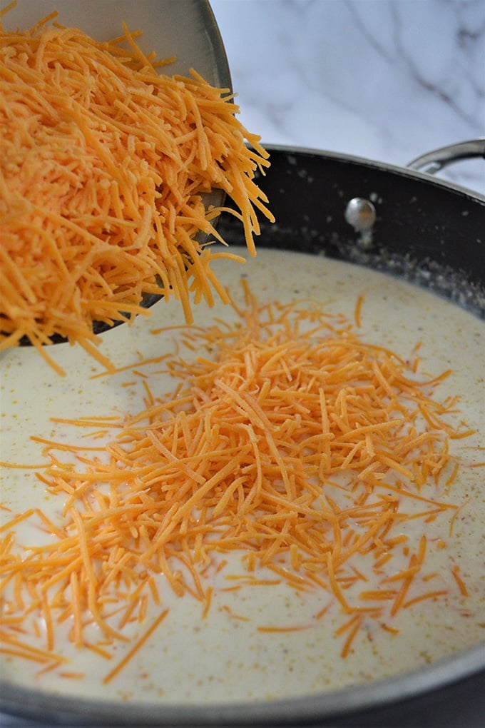 adding shredded cheddar cheese to bechamel sauce