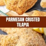 Parmesan Crusted Tilapia