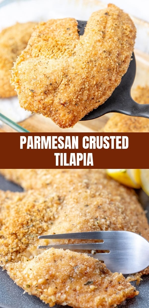 Parmesan  Crusted Tilapia