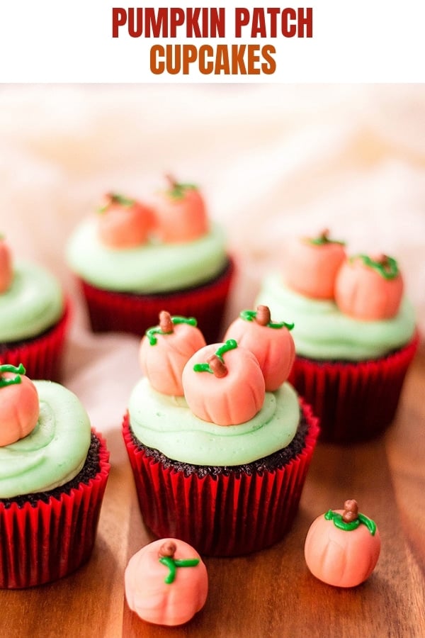 pumpkin patch decorated chocolate cupcakes