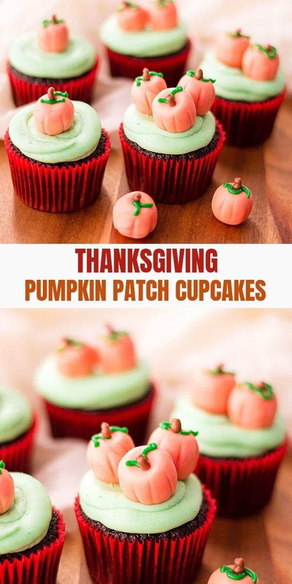 pumpkin patch decorated chocolate cupcakes